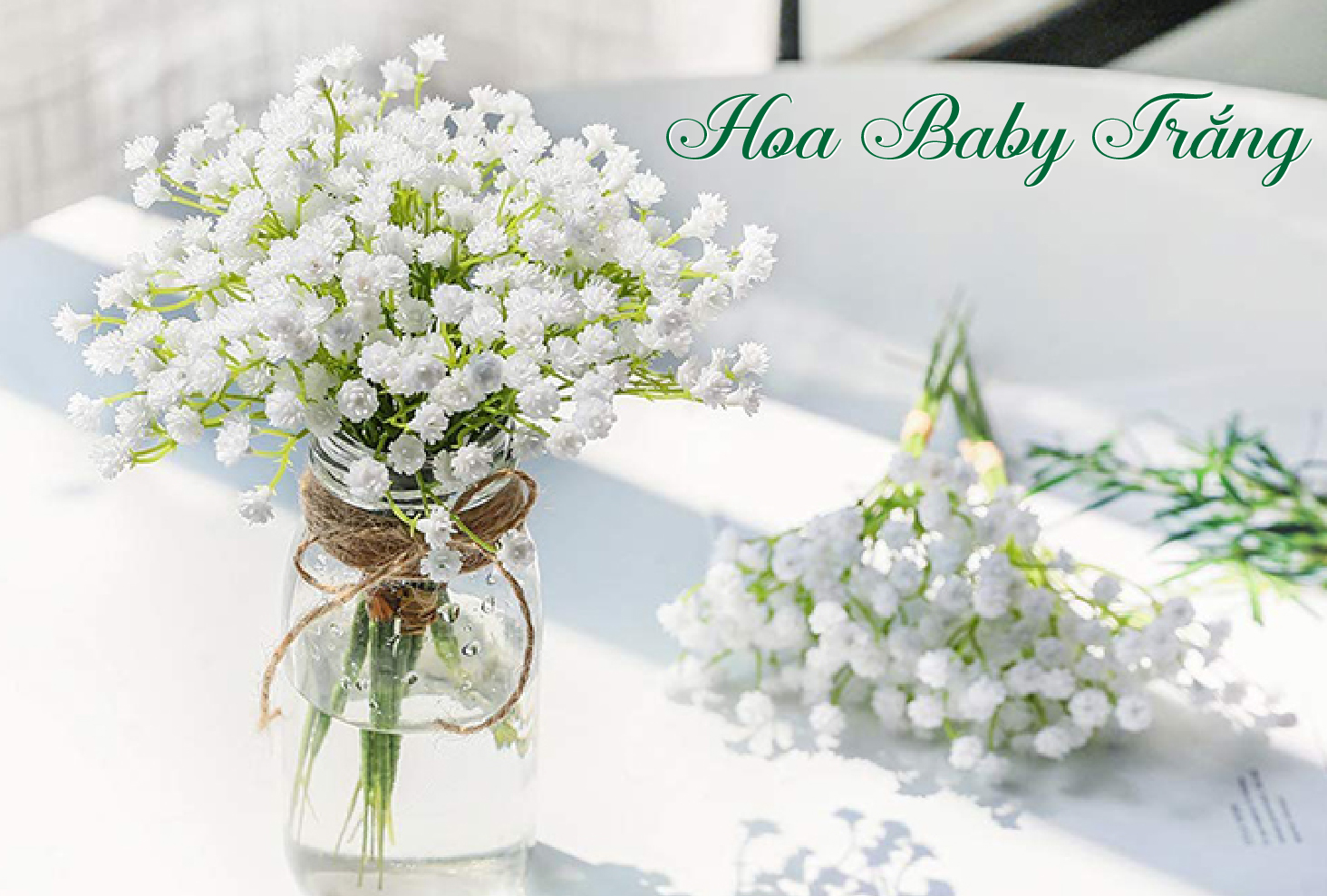 Hướng dẫn làm hoa baby trắng từ giấy Mylan